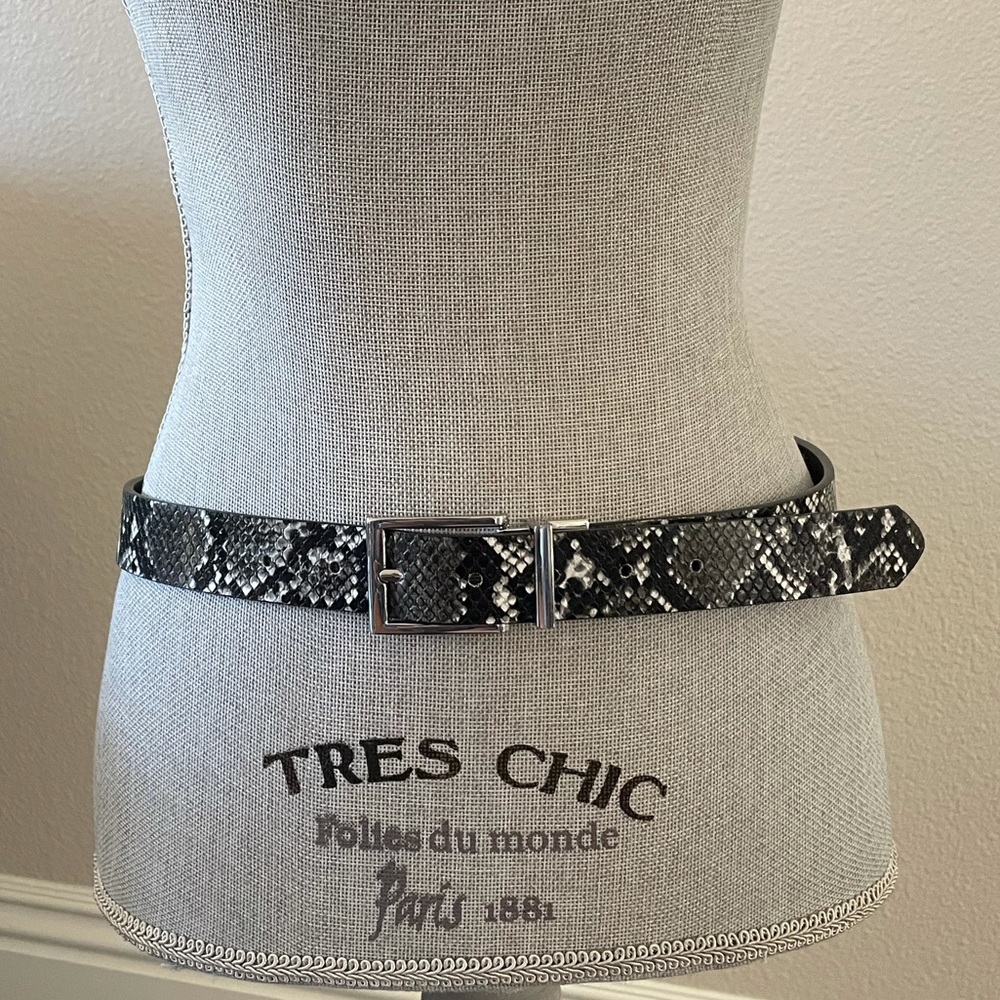 Snack Skin Silver buckle belt